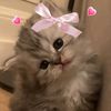 asliham6