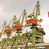 putrabuton01