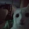 alisabeyba6
