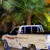 m_ali_305_