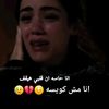 dodo.de.ana569