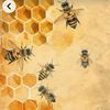 honeybee_7438