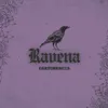 bruxa.raven4