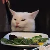 cat_meme228