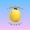 Guayabo