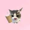 likegoodday__
