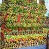 mul_pawa_675