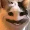 .wwj_