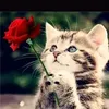 souadsouad605