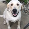 murph_n_coop
