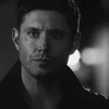 winchester_d67