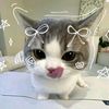 isya_nothing0