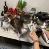 3_littlecats