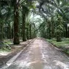 dedysyahputrablas