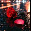 ambersariye56