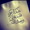 om_abdo_2013