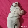 theoriginalcaekin08