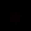 .girlinmaroon