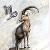 user3blr7nylas