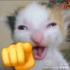username567890l