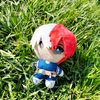 _shoto_chiquito_