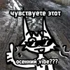 sammy_lol228
