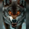 wolf.wolf004