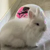 tanino_03