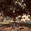 mostafa112881