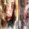 liv.hz666