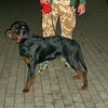 chernov100kg
