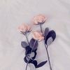 inana_22