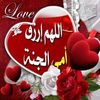 user211hhmnlvz