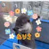 sota_da_ice_arisa