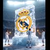 vivaelmadrid17