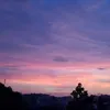 jazy2627