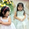 lily._tran