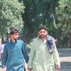 zaminbirmani