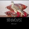 .mlsxx