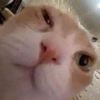 potahto_1209