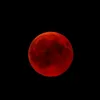 neves_zxs