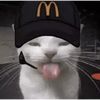 sagaa4youu