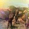 www.tiktok.comjani03