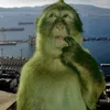 fingerinbuttgaming