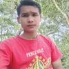 azizdarulfauzi