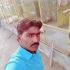 najeeb52.a.n