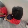 user3401205079405