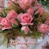 no_name11110502