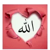 user3302769588481