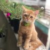 tango.thecutie_pie